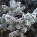 ���� ����, ���������, 47 ��� - ��������� 10 ������� 2010 � ������ ��������