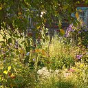  ++, , 55  -  6  2013    