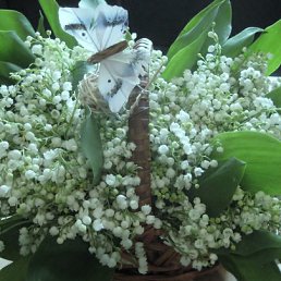 ���� �������, �����������, 69 ��� - ��������� 25 ��� 2012