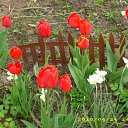 ���� �@�@�@, ������, 49 ��� - ��������� 9 ��� 2010 � ������ ������� ����� � ��.�