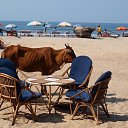 ���� ����, ����, 47 ��� - ��������� 8 ������ 2013 � ������ ���� ����������