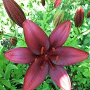 ���� �����, ������ - ��������� 1 ������ 2010 � ������ ���� ������