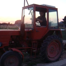 ���� ˸��, �������, 44 ���� - ��������� 1 ��� 2012