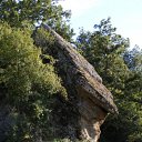 ���� �����, �����, 38 ��� - ��������� 3 ������� 2011 � ������ ������������