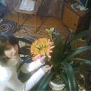 Alina, , 36  -  2  2012    
