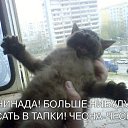 ���� ������, ����������, 40 ��� - ��������� 25 ����� 2010 � ������ �����������