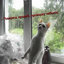 ���� �������, ������, 41 ��� - ��������� 11 ������� 2009 � ������ ��������� � ���������