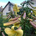 ���� �������, ������, 58 ��� - ��������� 1 ������� 2013 � ������ ���� ����������