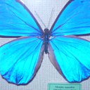 ���� ���������, �������, 62 ���� - ��������� 22 ���� 2012 � ������ �������