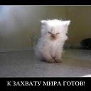 ���� ������, ���, 46 ��� - ��������� 16 ���� 2013 � ������ ���� ����������