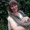 ���� ������, ���� - ��������� 12 �������� 2012 � ������ ���� ����������