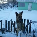 ���� ������, ����������, 64 ���� - ��������� 9 ������� 2012 � ������ �Avataria�