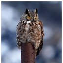 ���� �������, ������, 50 ��� - ��������� 21 ����� 2010 � ������ ������� ��������