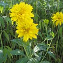 ���� ���������, ���������� - ��������� 5 ������� 2010 � ������ ���������� �����Ȼ