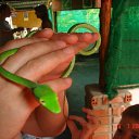 ���� �������������, �����-��������� - ��������� 1 ������� 2009 � ������ �������