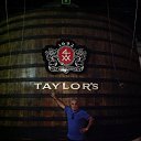 �� ������ 100 000 ������ ��������� XVIII ���� �� ������� ������ 2013�