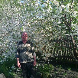 ���� ���� ��������, ������� - ��������� 28 ������ 2012