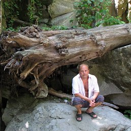 ���� �������, ��������, 54 ���� - ��������� 24 ������ 2012