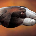 ���� �������, ������, 41 ��� - ��������� 27 ������� 2009 � ������ ���������� ����-���