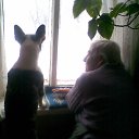 ���� �����, �������, 59 ��� - ��������� 2 ���� 2013 � ������ ����� ��� ������������