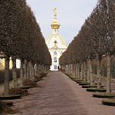 ���� �����, ������, 43 ���� - ��������� 10 ������� 2013 � ������ ���� ����������