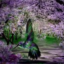  ~~,  -  4  2010   Carol Cavalaris,      .