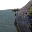 ���� ���������, �������������, 38 ��� - ��������� 17 �������� 2011 � ������ ���� ����������