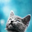 ���� ����, ����������, 65 ��� - ��������� 5 ������� 2012