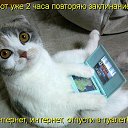 ���� �������, ������, 49 ��� - ��������� 17 ������� 2011 � ������ ������� �������