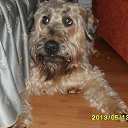 ���� �����, ����-��������� - ��������� 1 ���� 2013 � ������ ����� ��� ������������