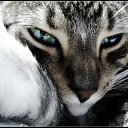 ���� �������, ������, 50 ��� - ��������� 13 ����� 2012 � ������ ���������