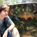 ���� ����, ������, 38 ��� - ��������� 13 �������� 2010 � ������ ���� ����������