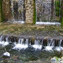 ���� ������, ���������, 42 ���� - ��������� 8 ����� 2012 � ������ �������