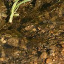 ���� �ocpucm, ������, 48 ��� - ��������� 4 ������ 2009 � ������ �"��� ���� � � ��� � n��" � ����� ;-)�