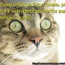 ���� ��������, �������� - ��������� 23 ����� 2012 � ������ �������� ��������