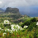 ���� Margarita, ������ - ��������� 19 �������� 2011 � ������ ��������