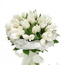 ���� ��������, ������, 52 ���� - ��������� 3 ��� 2012 � ������ ���� ����������