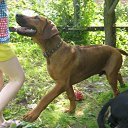  , Ѹ!!!, , 38  -  14  2011   