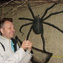 ���� ����, ������, 56 ��� - ��������� 9 �������� 2012 � ������ ���� ����������