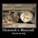���� ����, ����, 49 ��� - ��������� 22 ������� 2012 � ������ ���� ����������