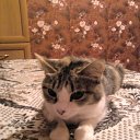 ���� ����, ��� - ��������� 11 ������ 2010 � ������ ���� ������� �������