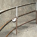 ���� ���������, �������������, 37 ��� - ��������� 17 �������� 2011 � ������ ���� ����������