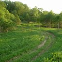  , , 36  -  25  2010      . 2010. .