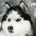 ���� Serega, �����-���������, 34 ���� - ��������� 24 ����� 2011 � ������ ������ � ��������