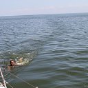 ���� ., ������ - ��������� 31 ���� 2012 � ������ ���� ����������