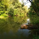 ���� �������, ������������, 64 ���� - ��������� 12 ���� 2013 � ������ ���� ����������