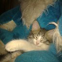 ���� Ferro, ��� - ��������� 4 ��� 2011 � ������ ���������