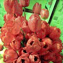 ���� ������, ����������, 55 ��� - ��������� 6 ������� 2010 � ������ �������
