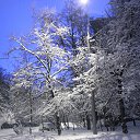 ���� ������, ������, 47 ��� - ��������� 4 ������� 2013 � ������ �������� ������