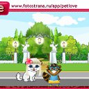  , , 47  -  10  2010   PetLove